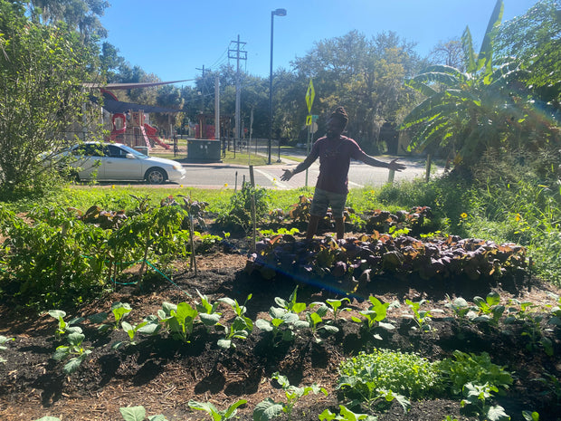 Porter's Quarters Local Fresh Food Plug