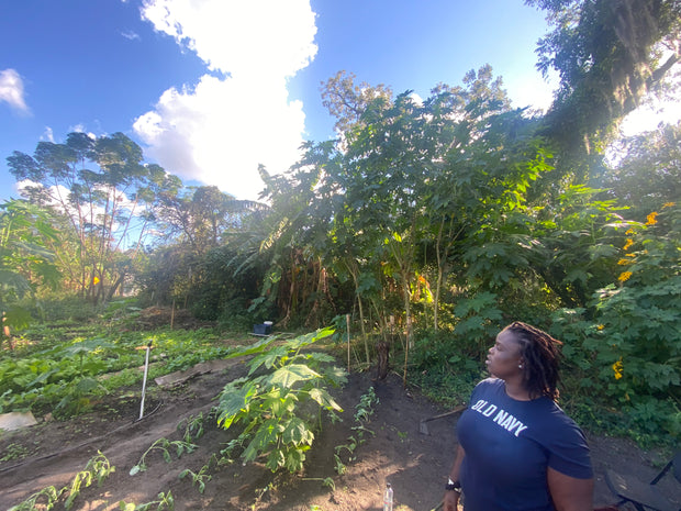 Porter's Quarters Community Farm